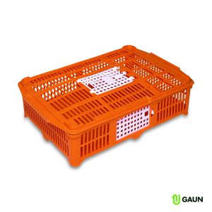 CESTA TRANSPORTE POLLITOS / CODORNICES