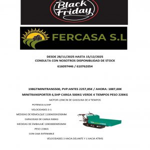 BLACK FRIDAY FERCASA